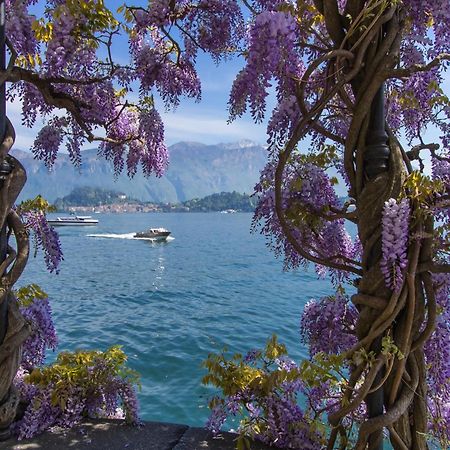 Como Lake Modern Apartament Ulivi Apartment Mezzegra Luaran gambar