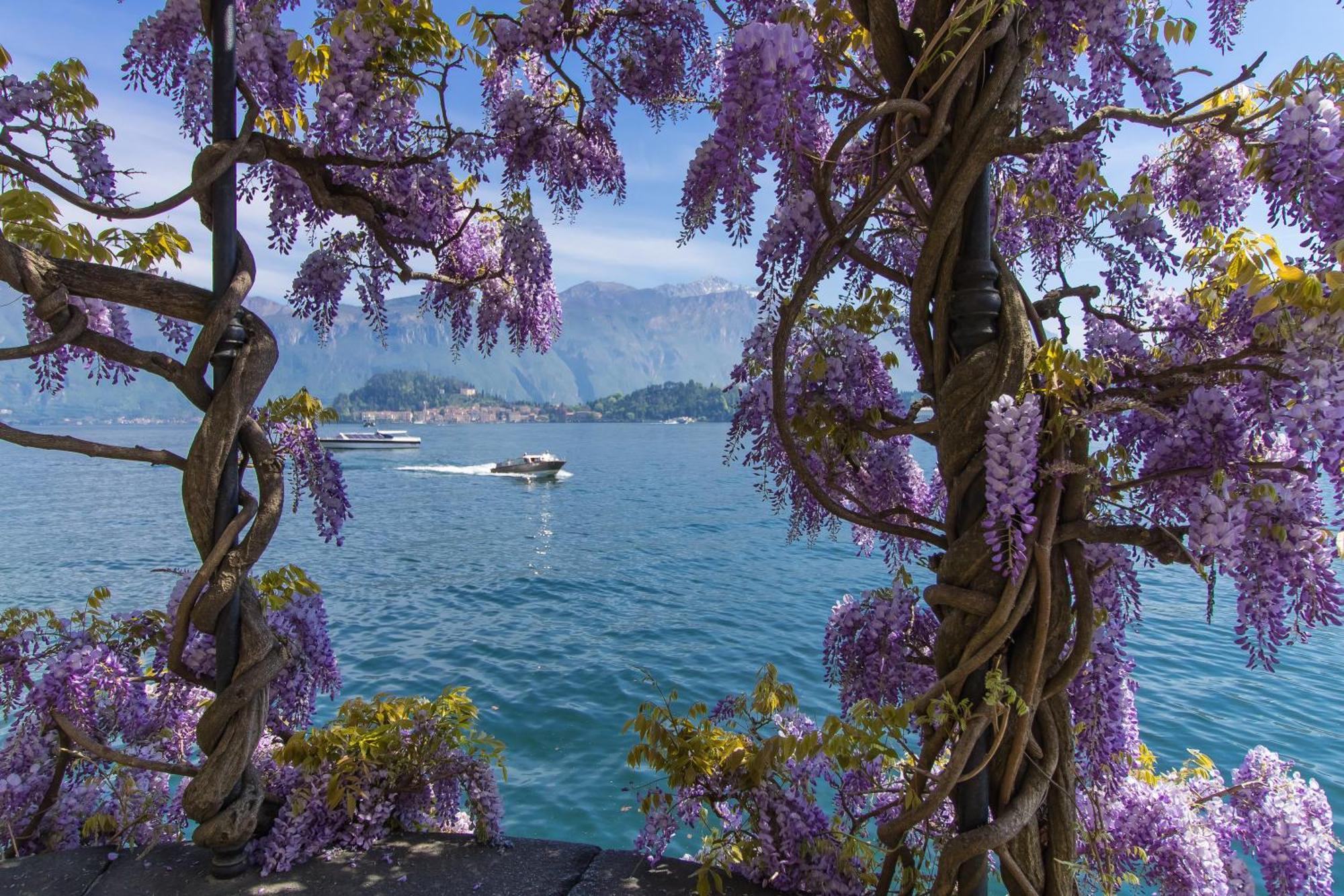 Como Lake Modern Apartament Ulivi Apartment Mezzegra Luaran gambar